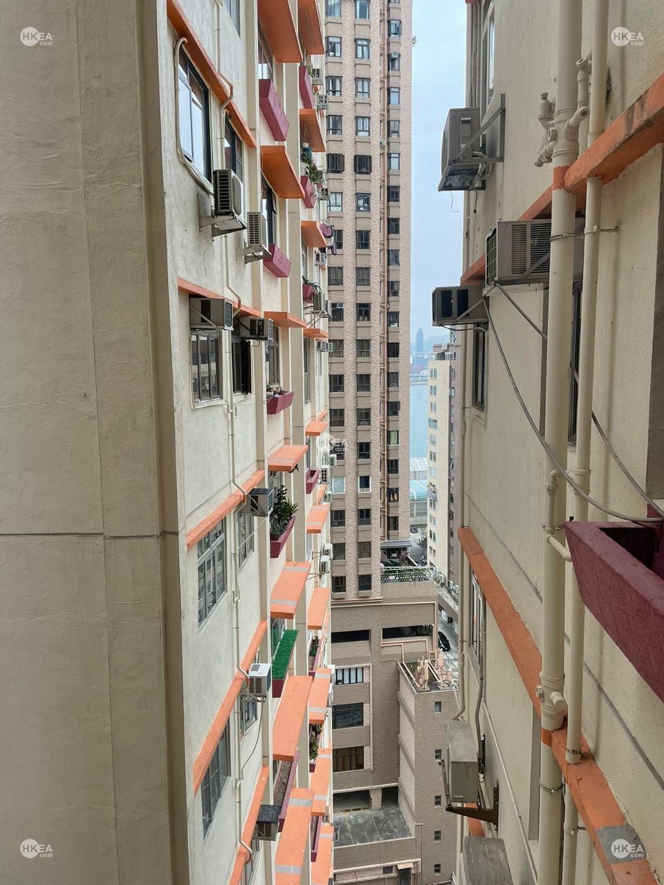 天后|住宅|金都洋樓|威非路道 4號