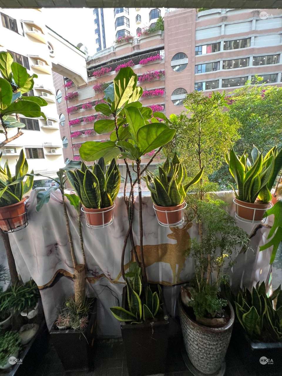 東半山|住宅|鳳凰閣|堅尼地道 39號