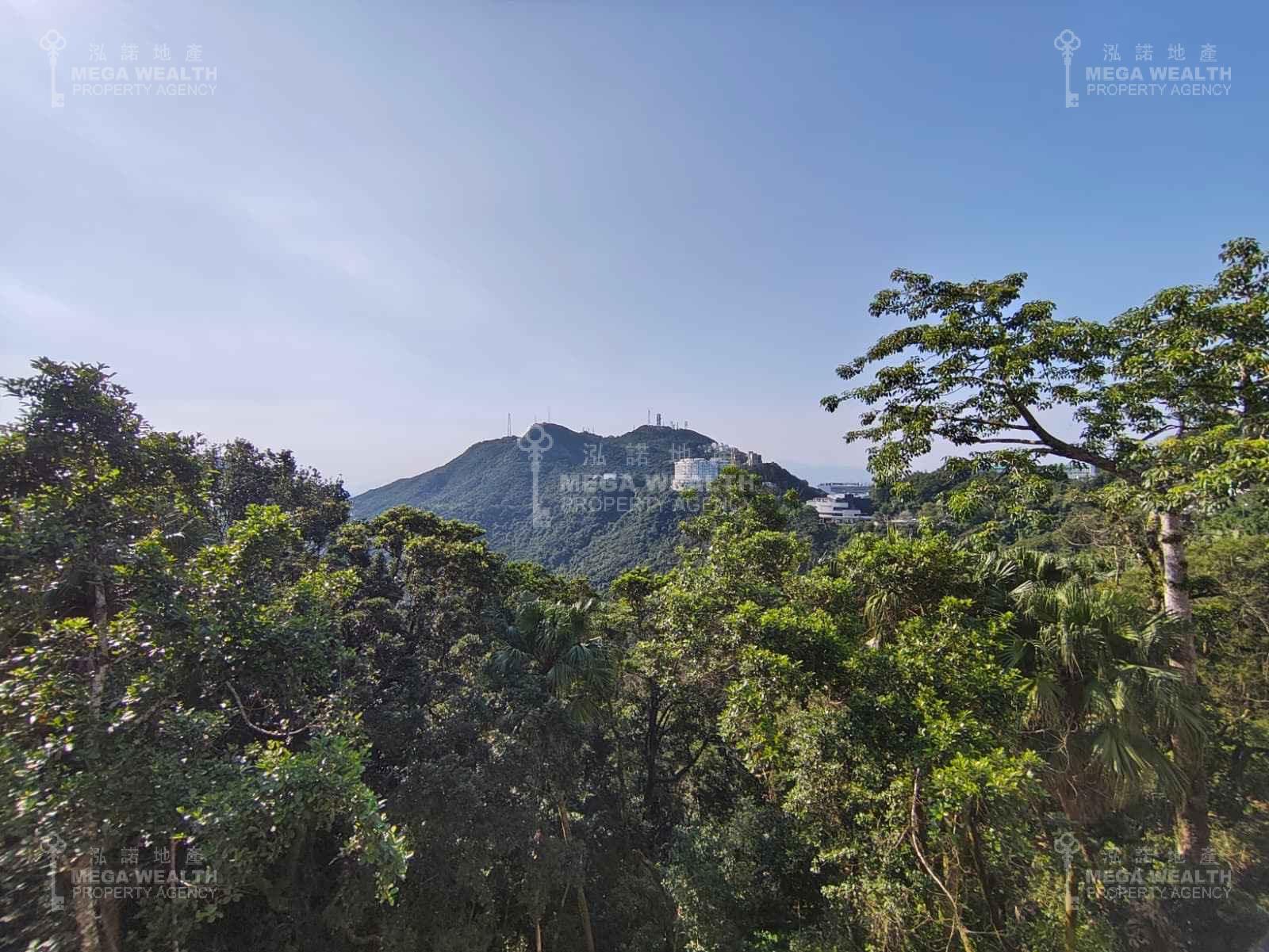 TWELVE PEAKS
